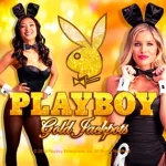 Sensasi Seru Main Slot Playboy Gold ala OLE777!
