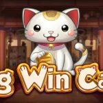 Big Win Cat: Kucing Lucu, Putaran Penuh Seru