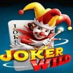 Sensasi Seru Main Joker Wild Slot di OLE777